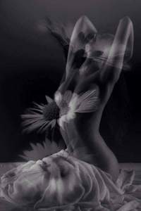 FB_IMG_1425812631353