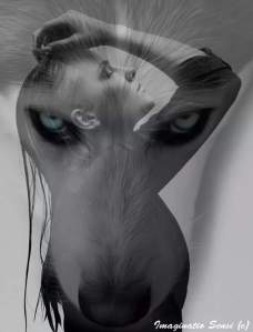 FB_IMG_1436291956278