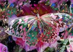 11846197_1698278393733898_958185701_n