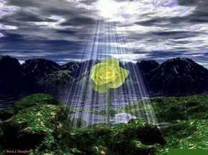 12046599_1712014939026910_6780192117545970237_n