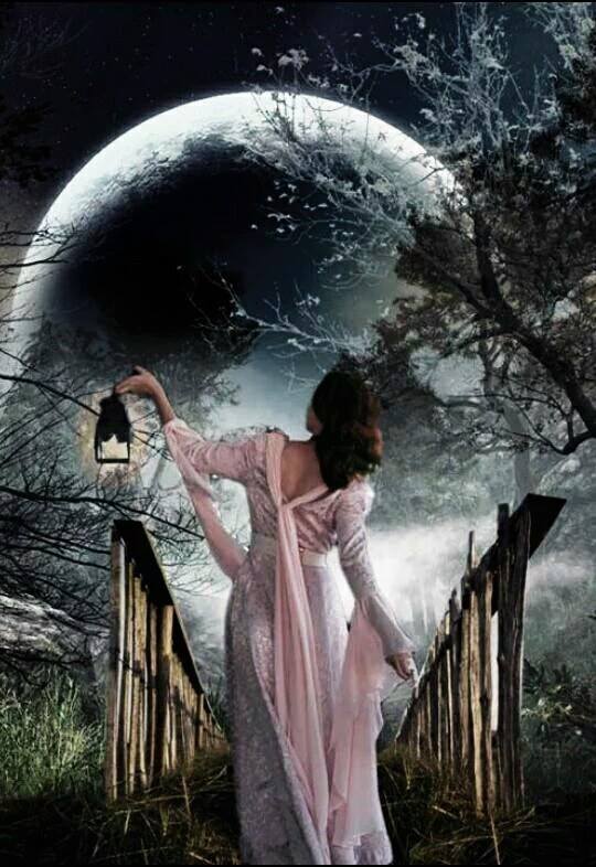 12242106_1727374507490953_1948132913_n