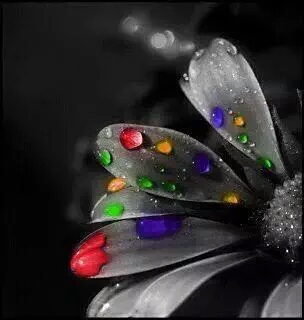 11947655_1707342569494147_6381397130987975895_n