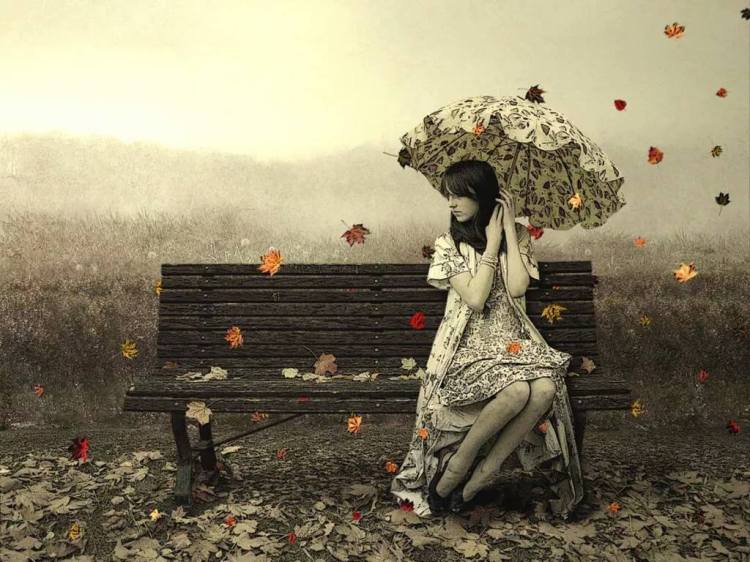 12015495_1710279985867072_1397899859_o