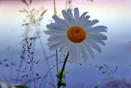 12351060_1731762303718840_615207864_n