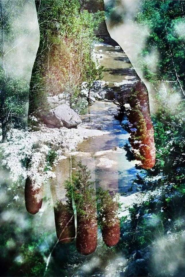 FB_IMG_1450618409547