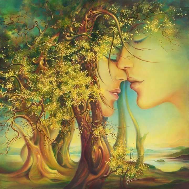 11954608_1119650111425722_3106973937360132438_n