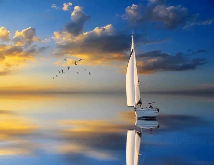 12322568_1730951760466561_3211390666861688701_o