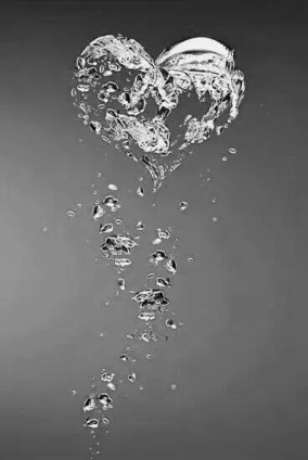 12074878_1714091115485959_2398817484347868935_n