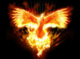 ave fenix