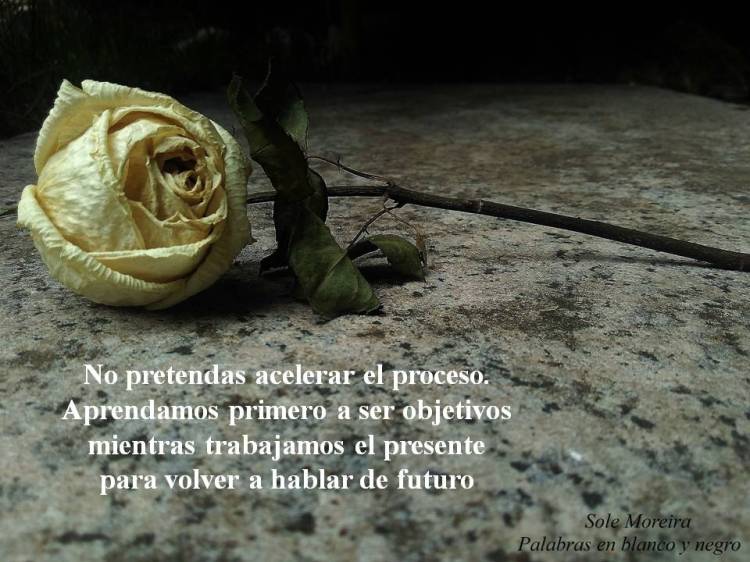 no pretendas acelerar el proceso